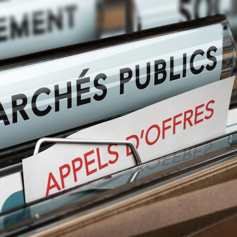 Marchés publics, Appels d'offres